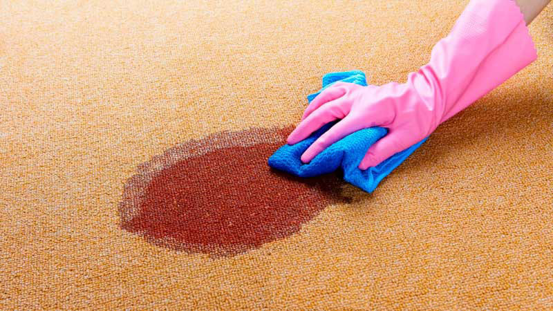 پاک کردن لکه خون از روی فرش 4